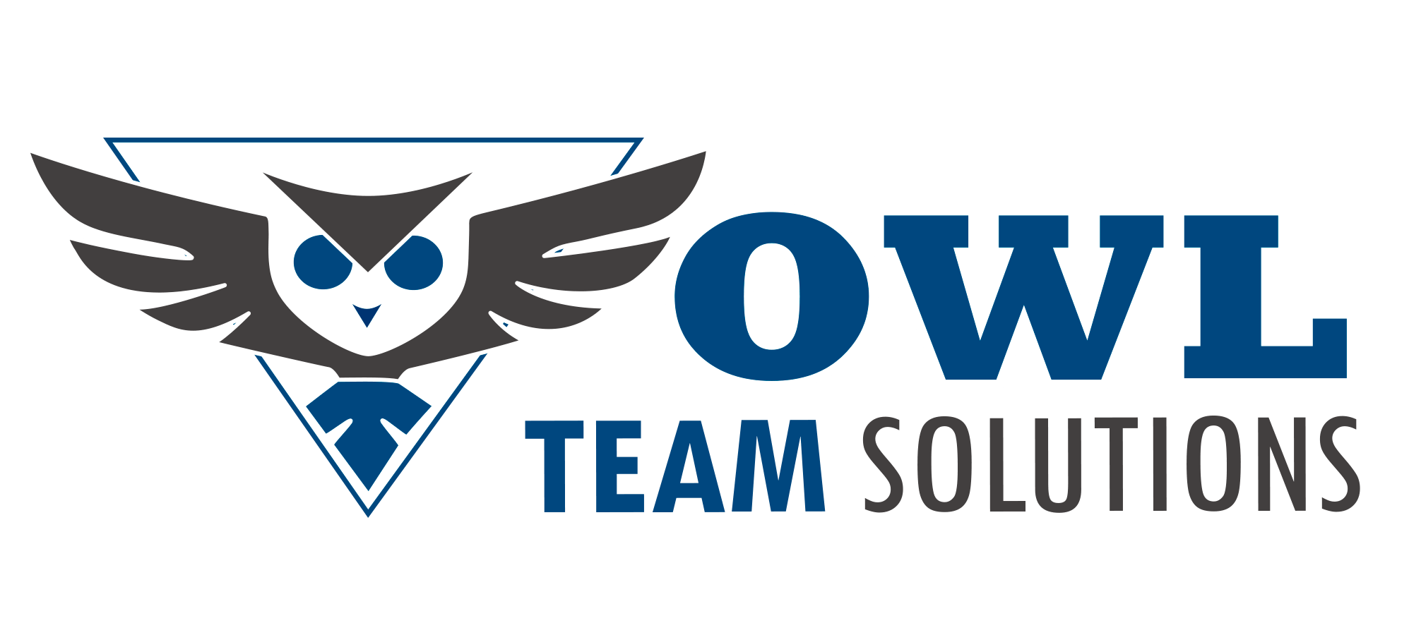 Logo Owl Team Solutions